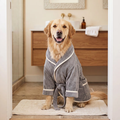 Golden retriever wearing the Sleekpaw Quick-Dry Dog Bathrobe in grey, cozy after a bath