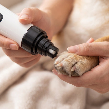 Close-up of the Sleekpaw nail grinder smoothing a calm dog's nail